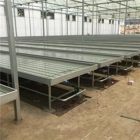 rolling benches greenhouse